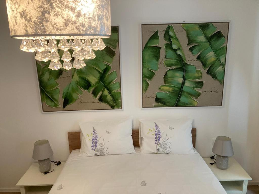 Sweet Happy Life Residence براشوف المظهر الخارجي الصورة